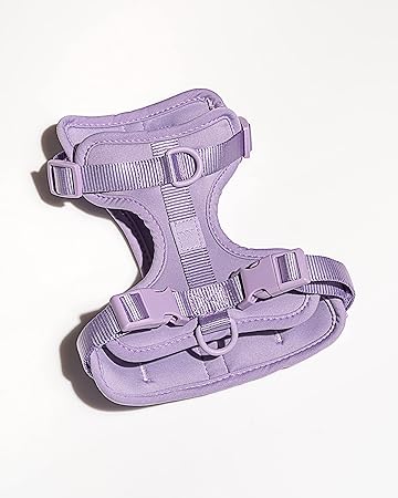 Wild One - Dog Harness - Large