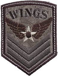 Simplicity - "Wings" Military Applique